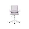 Компьютерное кресло Arrow light gray / white