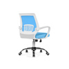Компьютерное кресло Ergoplus blue, white