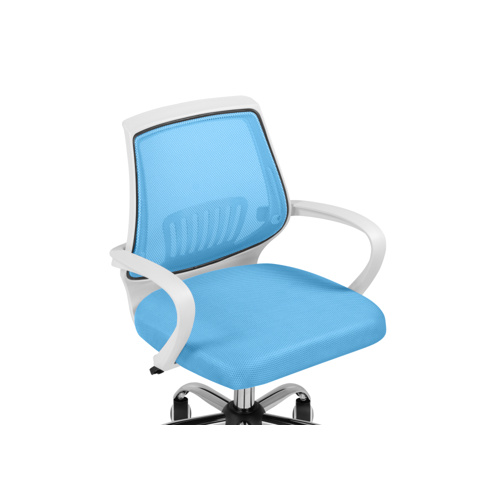 Компьютерное кресло Ergoplus blue, white
