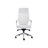 Компьютерное кресло Isida white / satin chrome