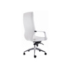Компьютерное кресло Isida white / satin chrome