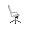 Компьютерное кресло Isida white / satin chrome