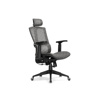 Компьютерное кресло Lanus gray, black
