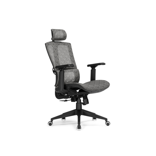 Компьютерное кресло Lanus gray, black