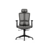 Компьютерное кресло Lanus gray, black