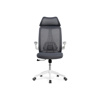 Компьютерное кресло Lokus dark gray