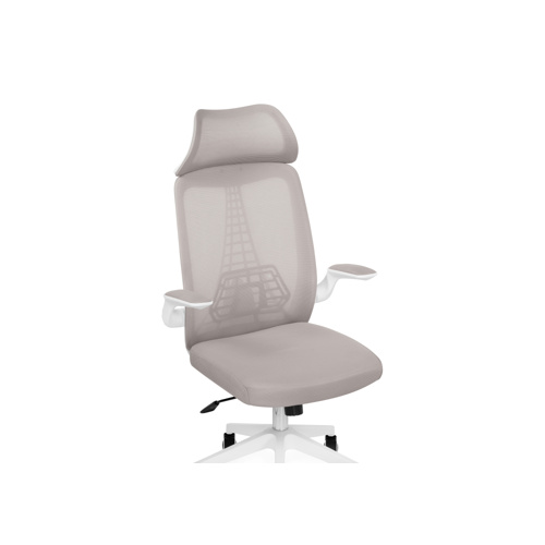 Компьютерное кресло Lokus light gray