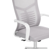 Компьютерное кресло Montana light gray, white
