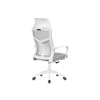 Компьютерное кресло Montana light gray, white