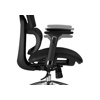 Компьютерное кресло Olimpus black, chrome