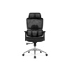 Компьютерное кресло Olimpus black, chrome