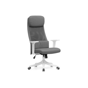 Компьютерное кресло Salta gray, white