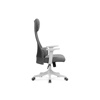 Компьютерное кресло Salta gray, white
