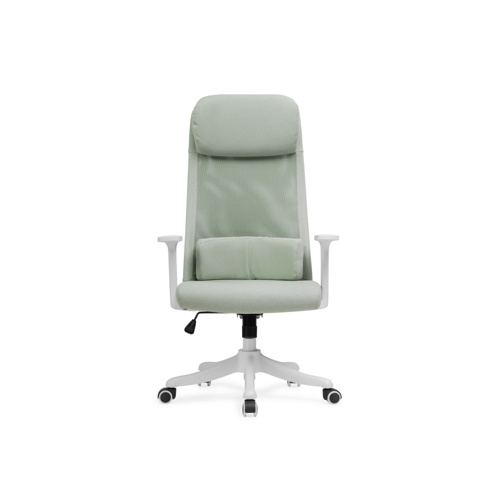 Компьютерное кресло Salta light green, white