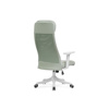 Компьютерное кресло Salta light green, white