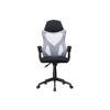 Компьютерное кресло Torino gray, black