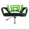 Компьютерное кресло Turin black / green