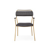 Стул на металлокаркасе Aspen dark gray, gold