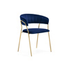 Стул на металлокаркасе Kamelia 1 dark blue, gold