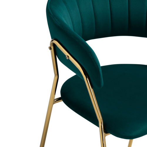 Стул на металлокаркасе Kamelia 1 green, gold