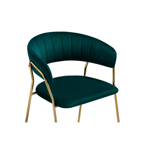 Стул на металлокаркасе Kamelia 1 green, gold